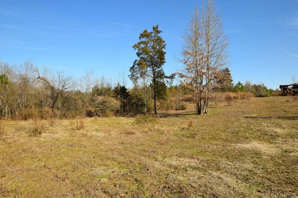 32 No Pone Valley Road Northwest Georgetown, TN 37336 - Photo 10 of 22