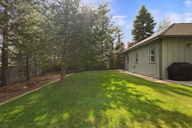 a view of a backyard with a large tree