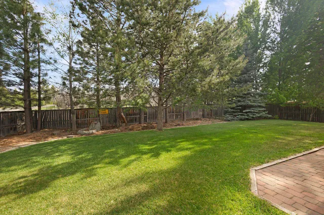 a backyard of a house with plants and large trees