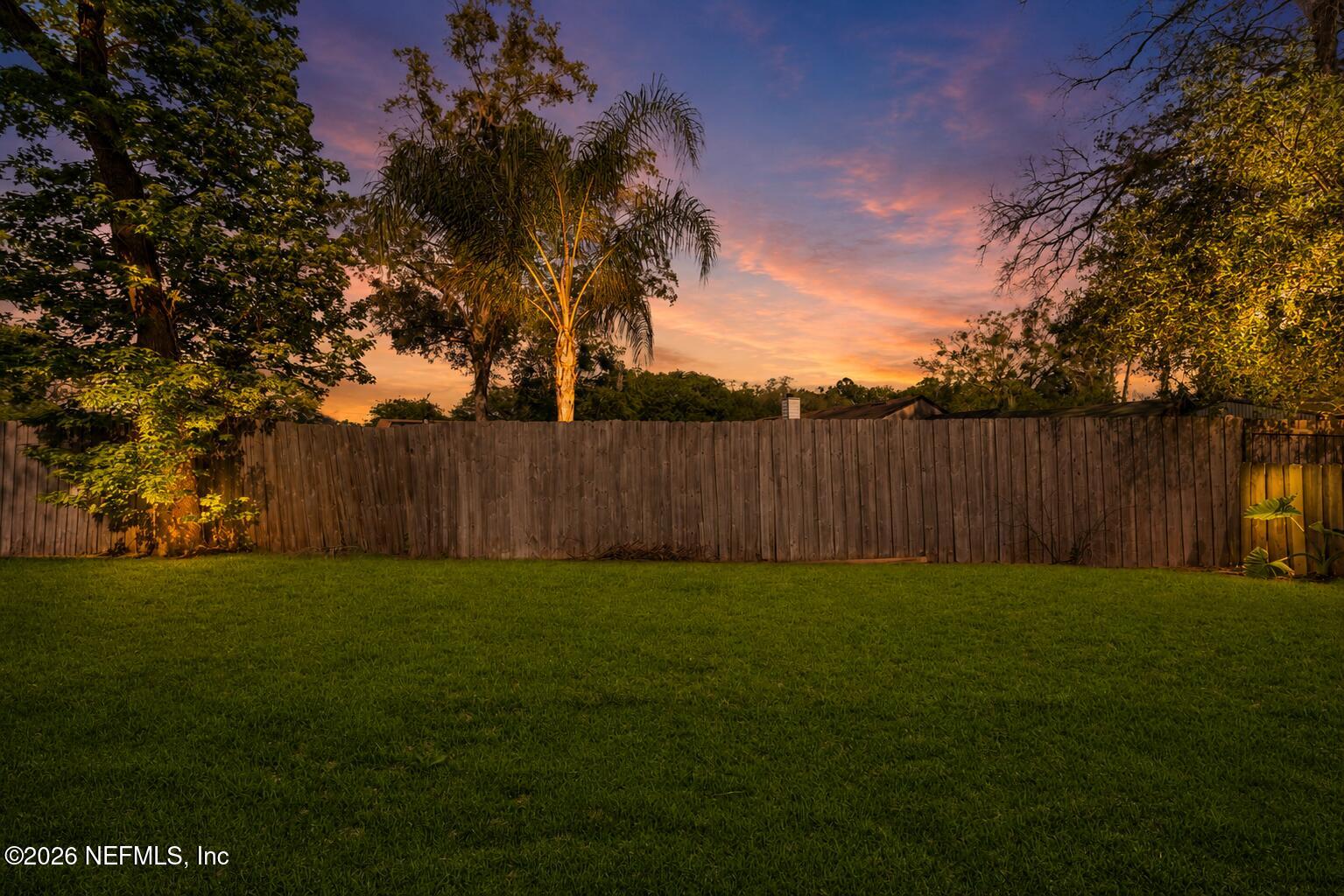 5529 Nettie Road Jacksonville, FL 32207 - Photo 22 of 24 Backyard - Virtually Enhanced