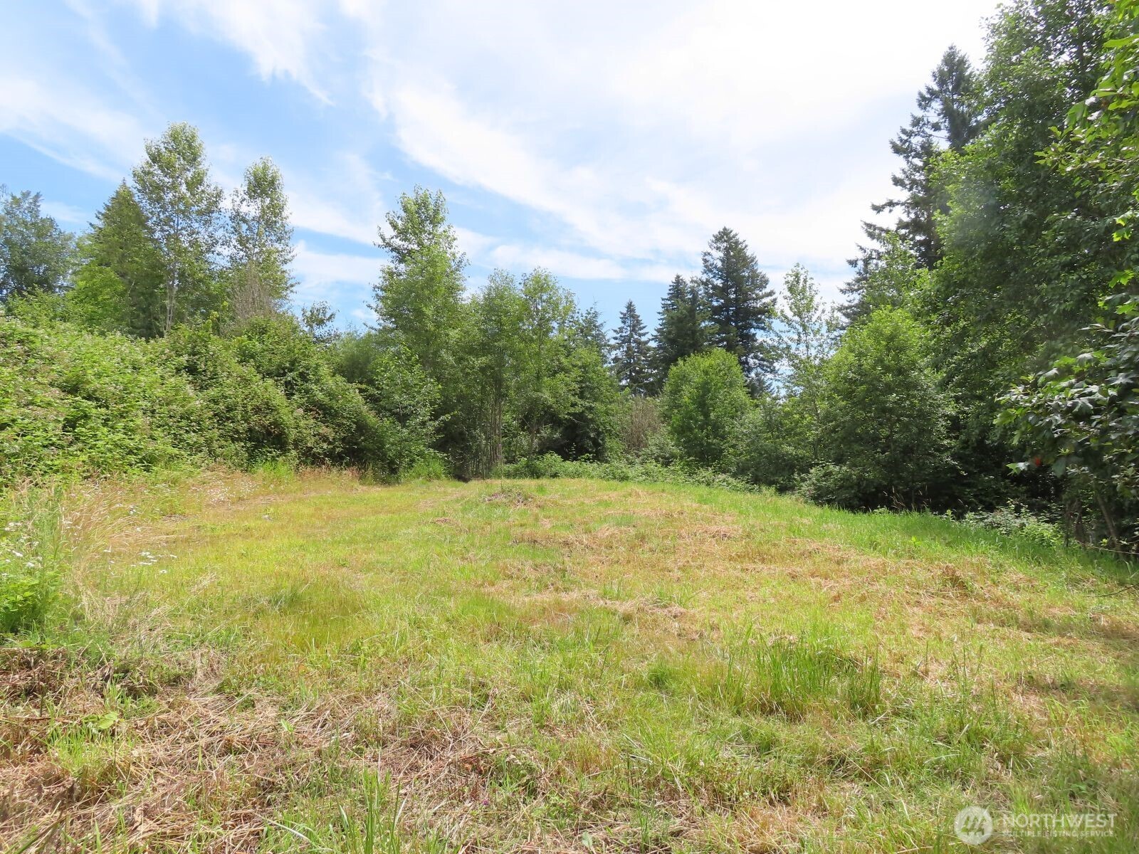 -xxx Coleman Road Mossyrock, WA 98564 - Photo 9 of 20