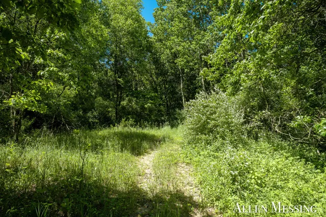 $139,900 | V/l Wildwood Drive, Hastings, MI 49058