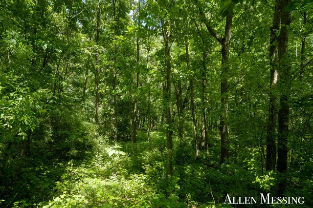 $139,900 | V/l Wildwood Drive, Hastings, MI 49058