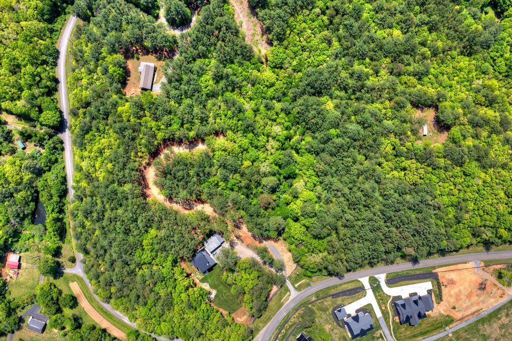 Lot 5 Grassy Creek Road Copperhill, TN 37317 - Photo 1 of 30 a view of a yard with plants