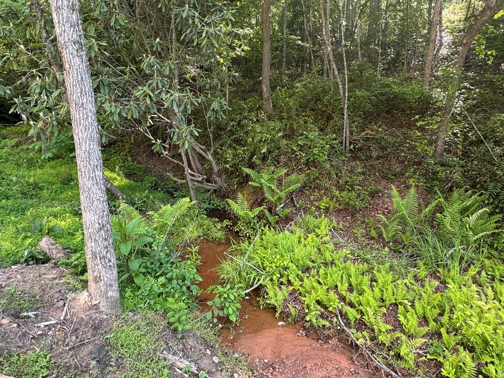 Lot 5 Grassy Creek Road Copperhill, TN 37317 - Photo 22 of 30 a view of a forest with a tree