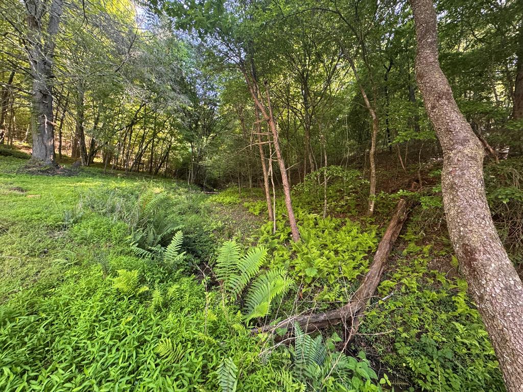 Lot 5 Grassy Creek Road Copperhill, TN 37317 - Photo 24 of 30 a backyard of a house with lots of green space