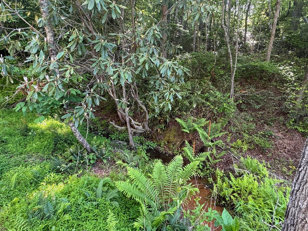 Lot 5 Grassy Creek Road Copperhill, TN 37317 - Photo 25 of 30 a view of a forest with a tree