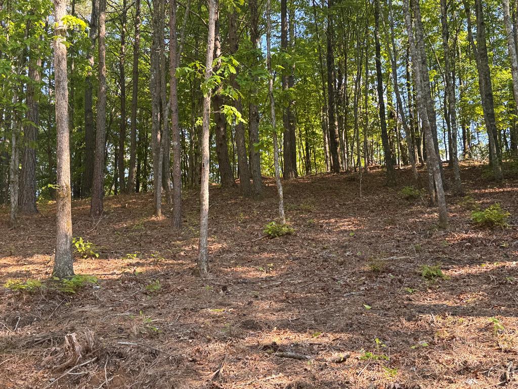 Lot 5 Grassy Creek Road Copperhill, TN 37317 - Photo 29 of 30 a backyard of a house with lots of green space