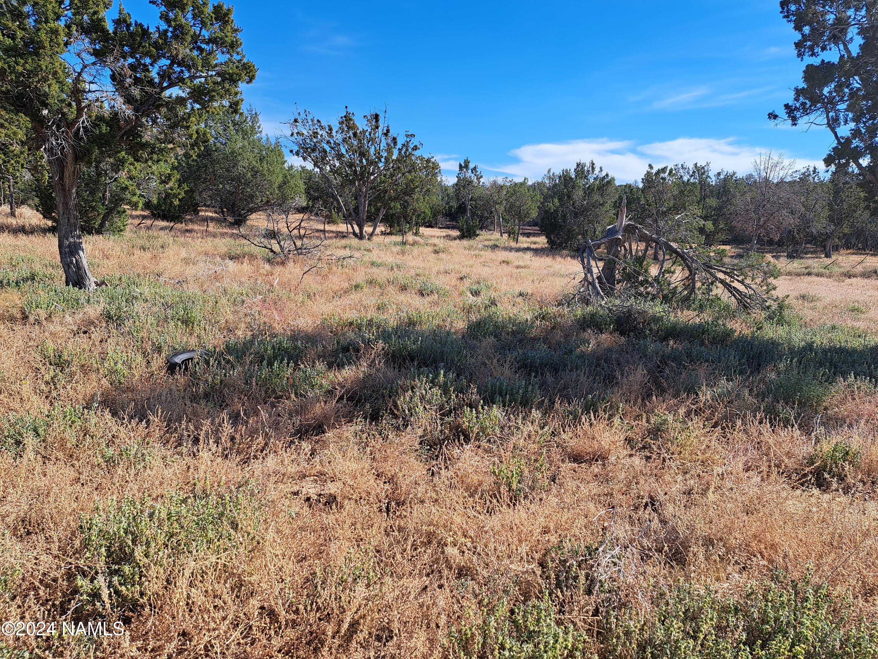 695 East Running Bear Road, Unit 23 Williams, AZ 86046 - Photo 3 of 4 20241012_150152