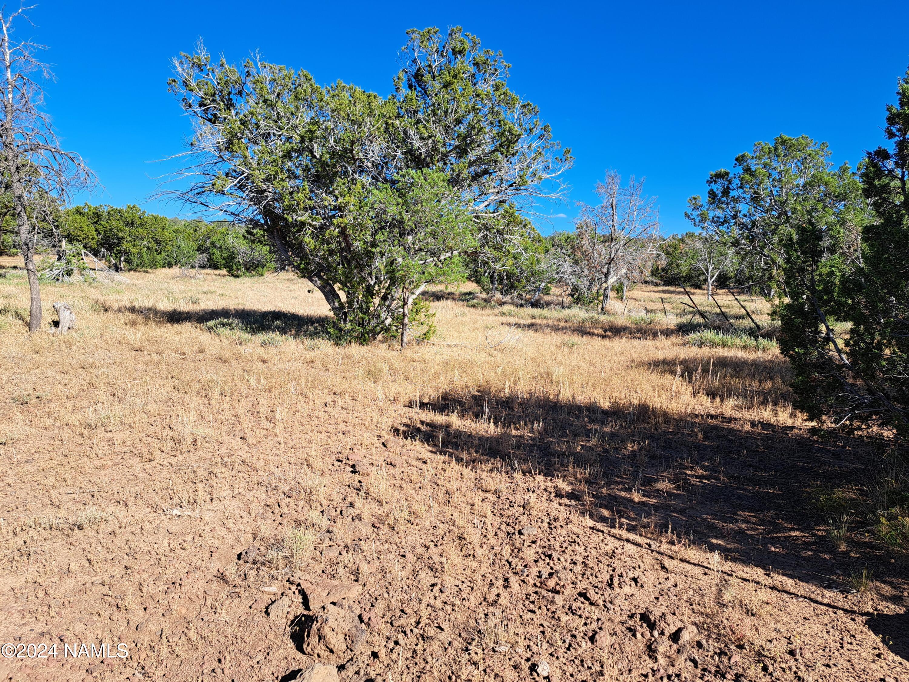 695 East Running Bear Road, Unit 23 Williams, AZ 86046 - Photo 4 of 4 20241012_145959