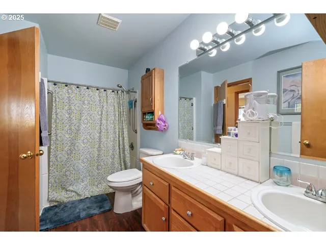 a bathroom with a sink a toilet a large mirror and shower curtain