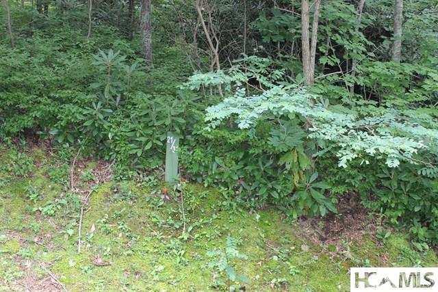 31 Whitewater Ridge Road Sapphire, NC 28774 - Photo 2 of 10 Gallery Image 2