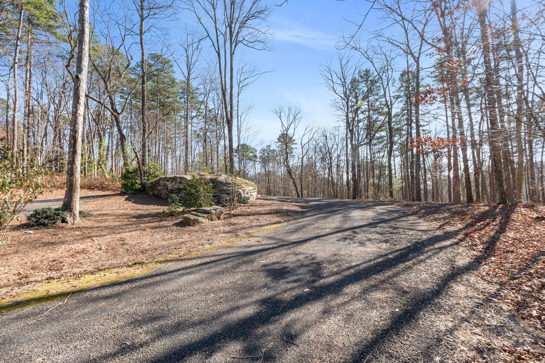 0 Tall Tree Trail, Unit 406 Dunlap, TN 37327 - Photo 9 of 22 dsc03071