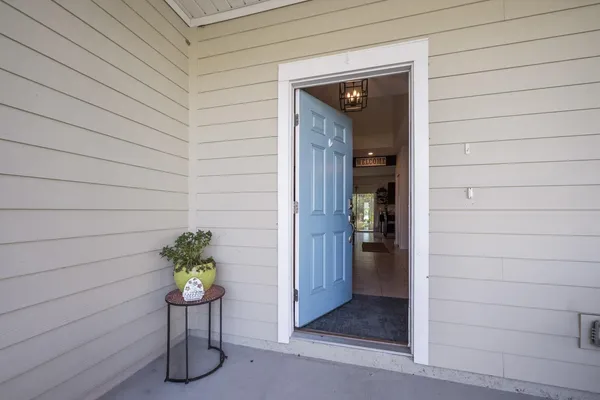 a glass door with a potted plant