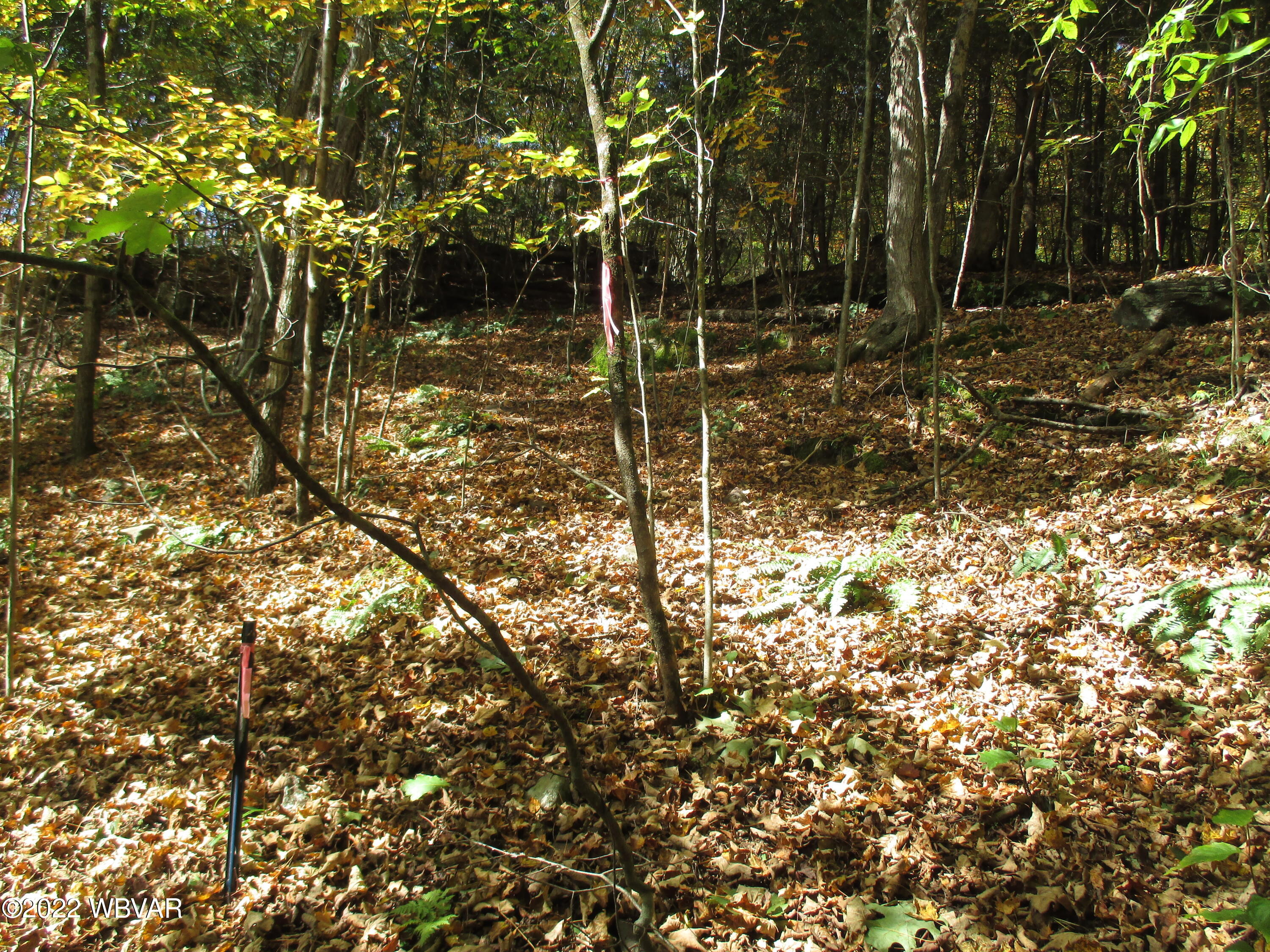 Lake Road Muncy Valley, PA 17758 - Photo 25 of 26 Gallery Image 25