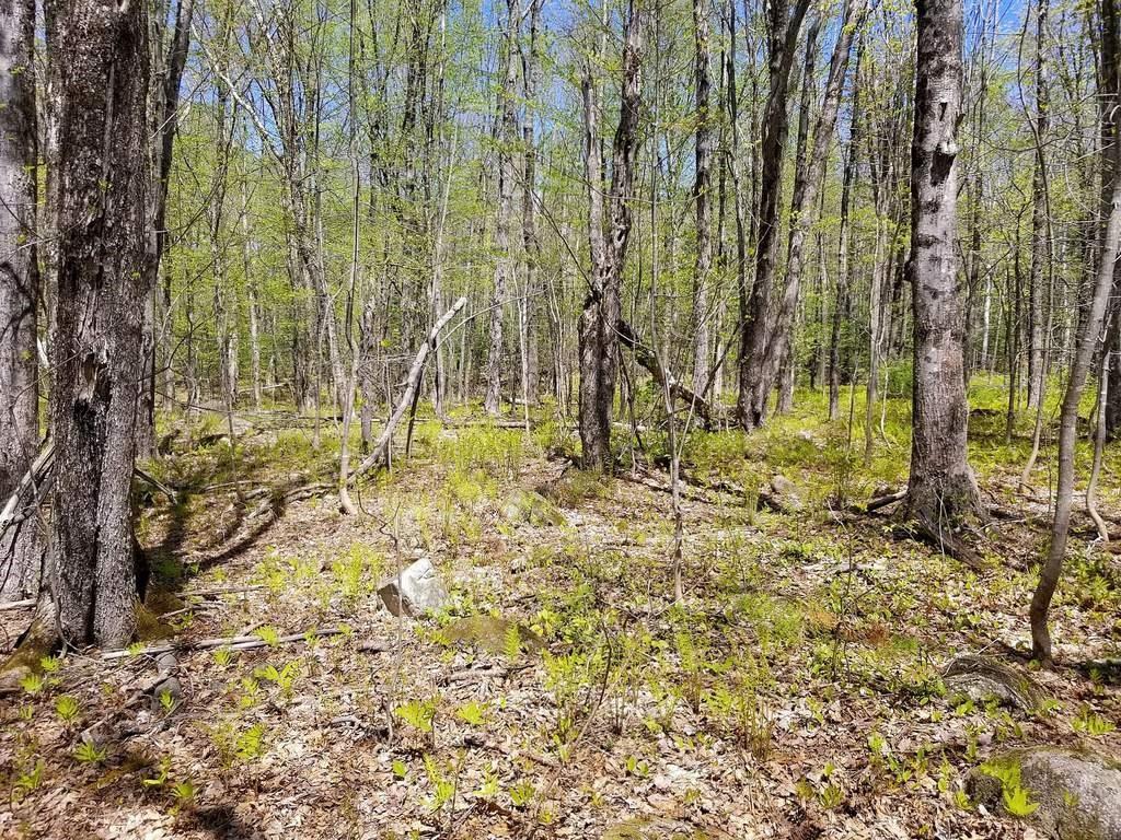 Tbd Hunter Road Strong, ME 04983 - Photo 2 of 20 Photo
