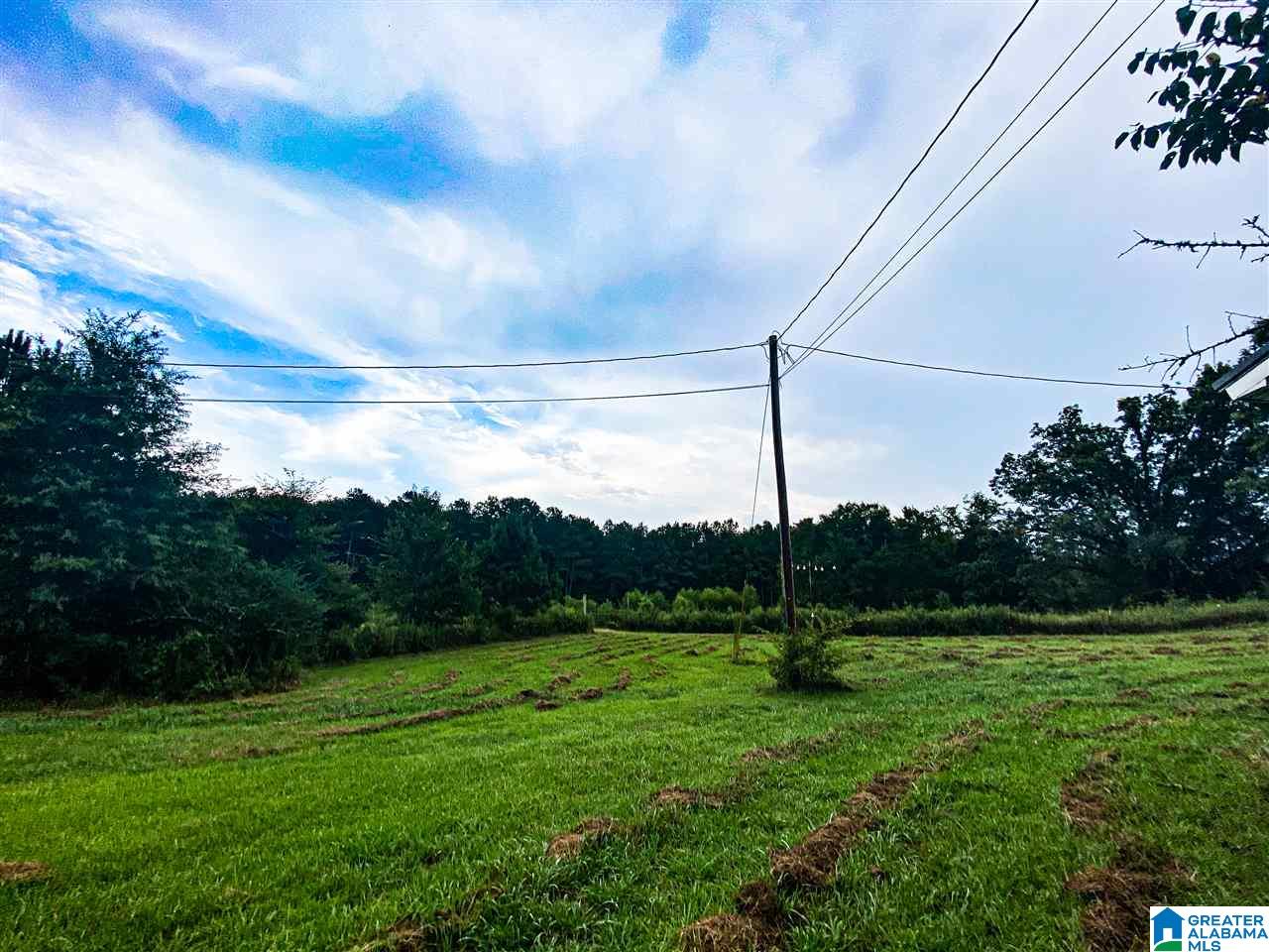 2273 Mitchellville Road Ohatchee, AL 36271 - Photo 13 of 35