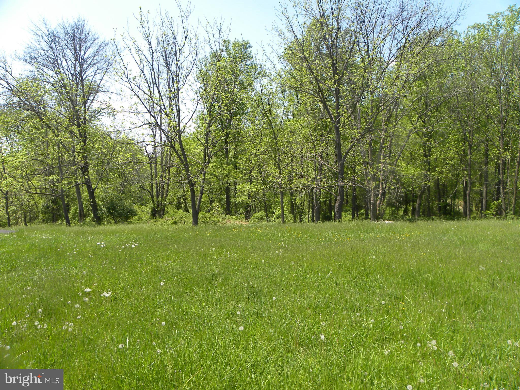 3102 Rices Lane Baltimore, MD 21244 - Photo 26 of 30 Rear yard view
