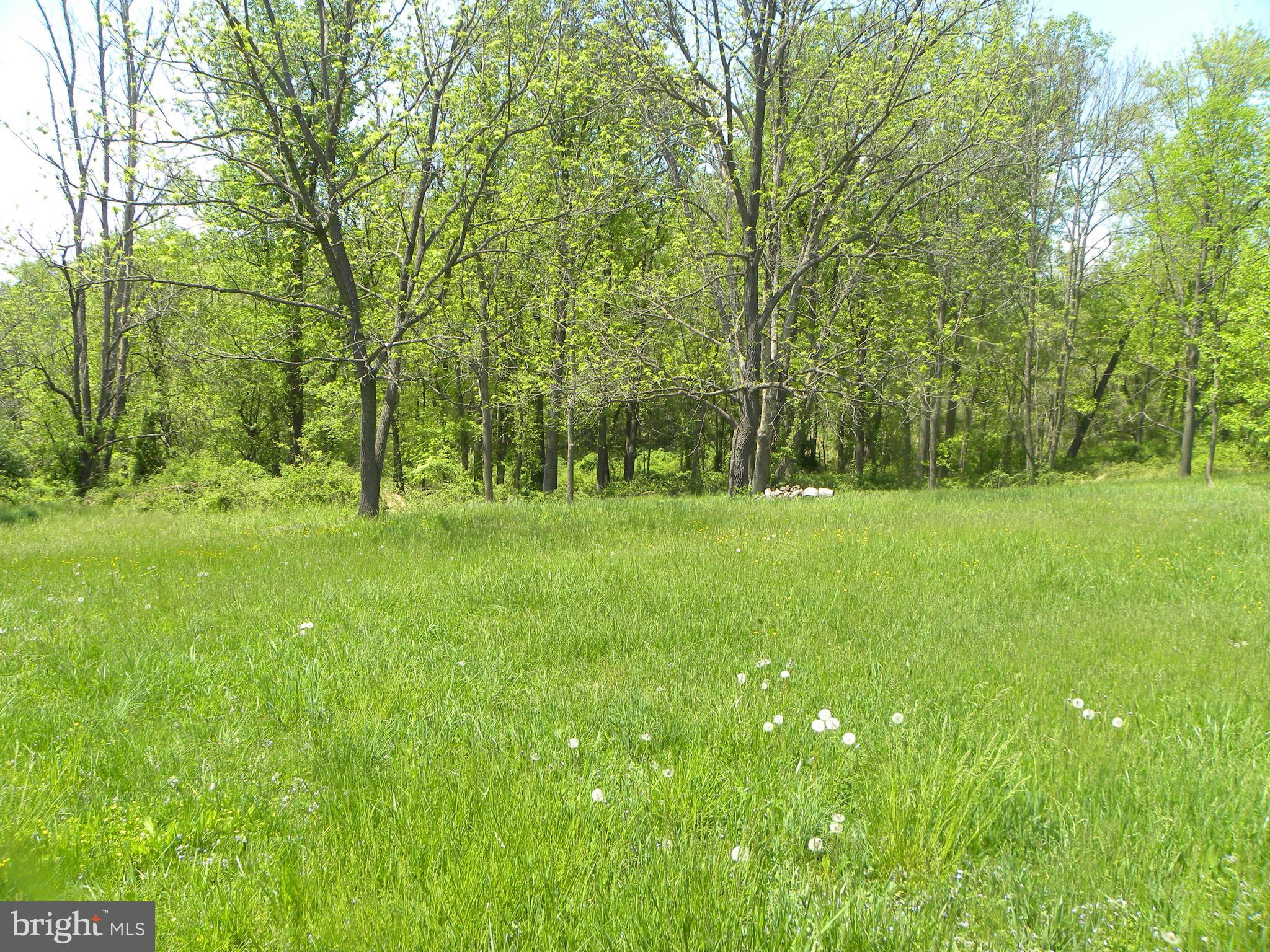 3102 Rices Lane Baltimore, MD 21244 - Photo 27 of 30 Rear yard view