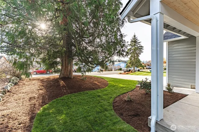 a view of a yard with tree s