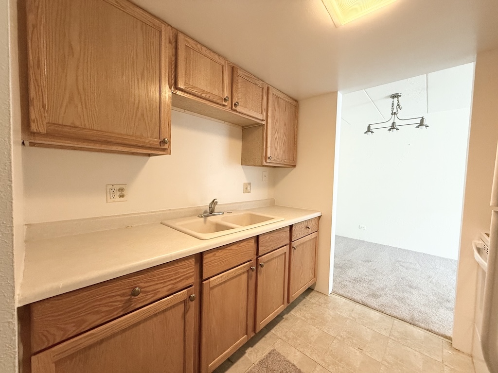 1 Renaissance Place, Unit 215 Palatine, IL 60067 - Photo 3 of 13