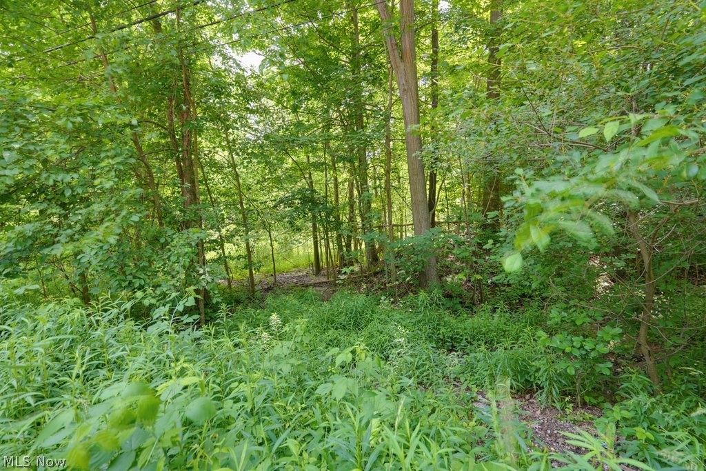 0 North Chillicothe Road Aurora, OH 44202 - Photo 10 of 36