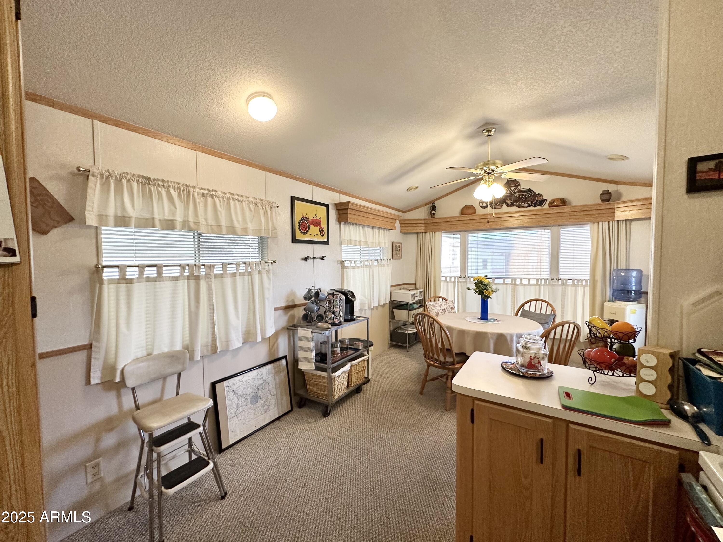 1027 South Prospectors Road Apache Junction, AZ 85119 - Photo 18 of 70 VIEW FROM KITCHEN