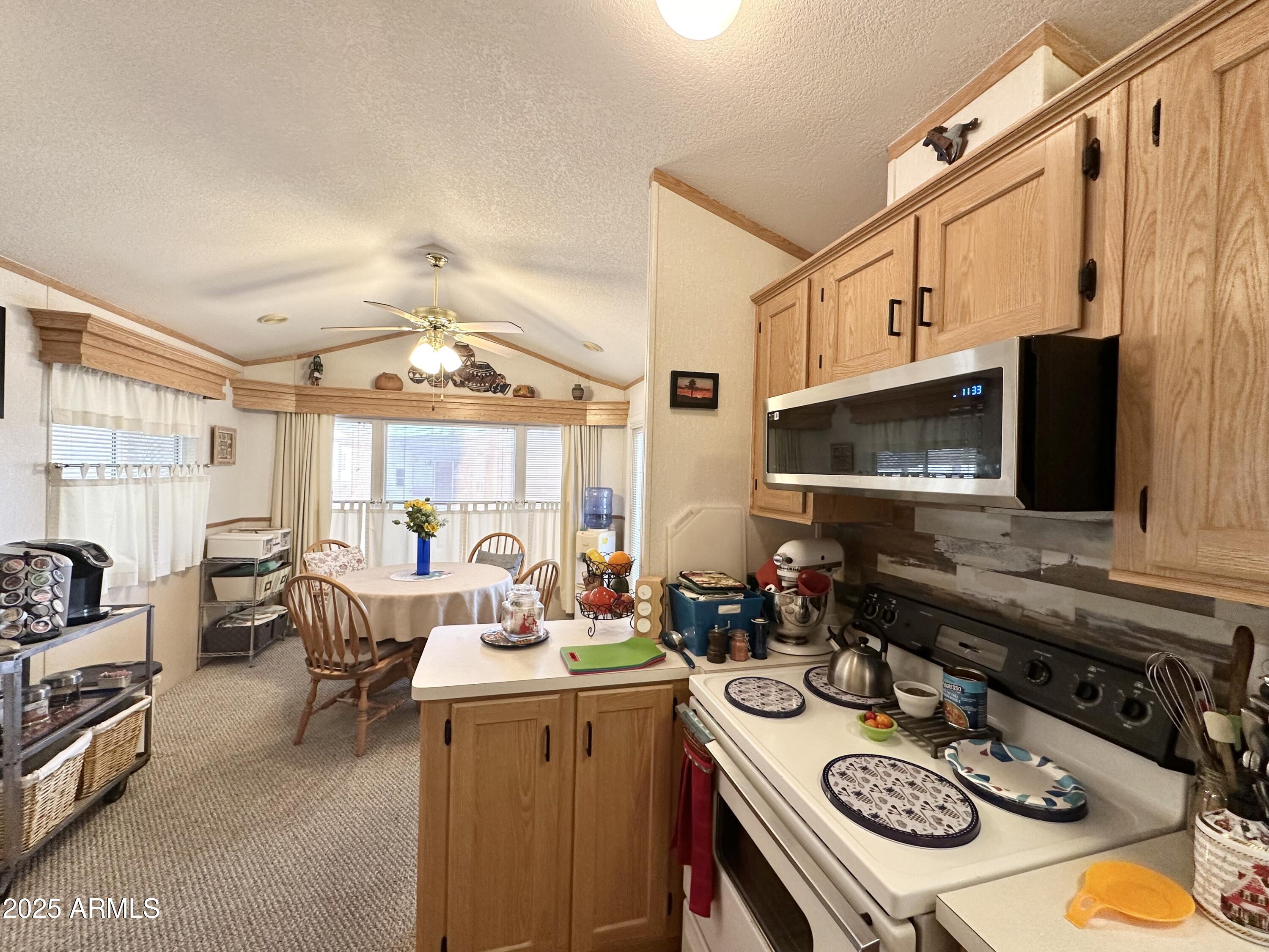 1027 South Prospectors Road Apache Junction, AZ 85119 - Photo 25 of 70 LOTS OF CABINETRY