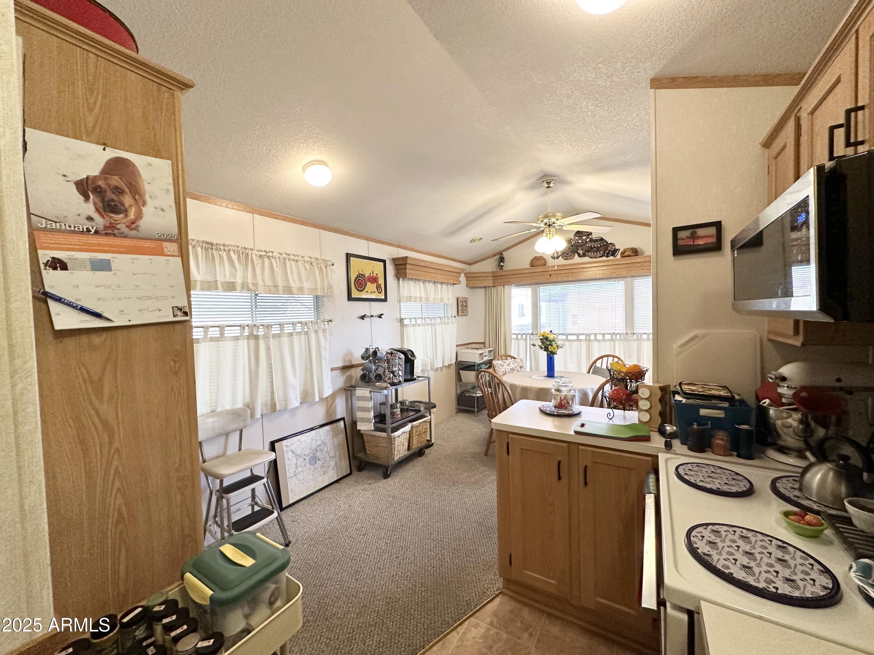 1027 South Prospectors Road Apache Junction, AZ 85119 - Photo 26 of 70 VAULTED CEILINGS