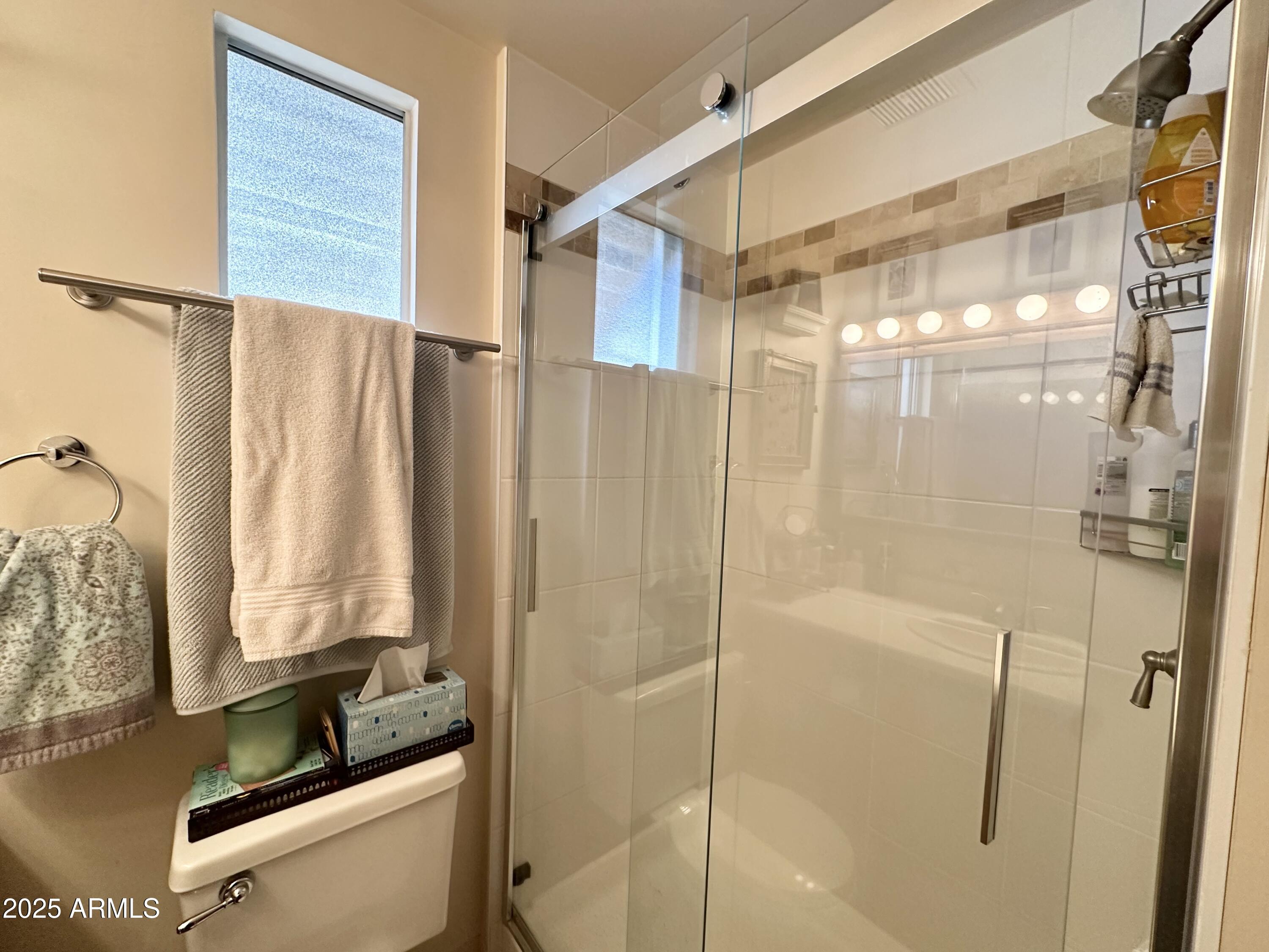 1027 South Prospectors Road Apache Junction, AZ 85119 - Photo 31 of 70 AMAZING NEWER SHOWER