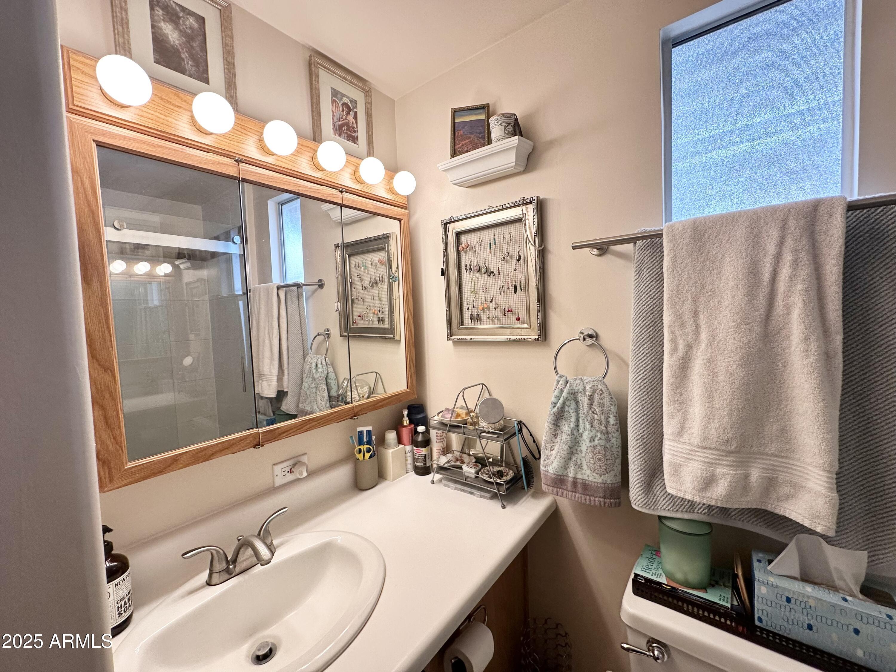 1027 South Prospectors Road Apache Junction, AZ 85119 - Photo 33 of 70 LARGE MIRROR/VANITY