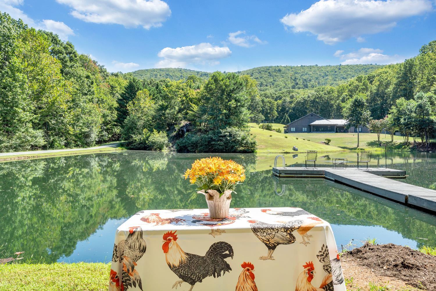 4344 Smith Mountain Road Penhook, VA 24137 - Photo 5 of 100 Anyone for a picnic?