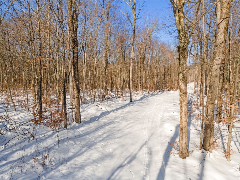 Hollenbeck Road Worcester, NY 12197 - Photo 13 of 33