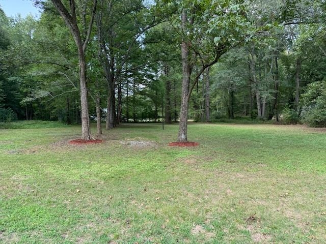 1409 Roper Road Bolivar, TN 38008 - Photo 29 of 33 View of yard