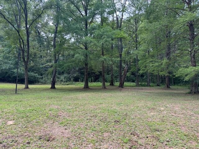 1409 Roper Road Bolivar, TN 38008 - Photo 31 of 33 View of yard