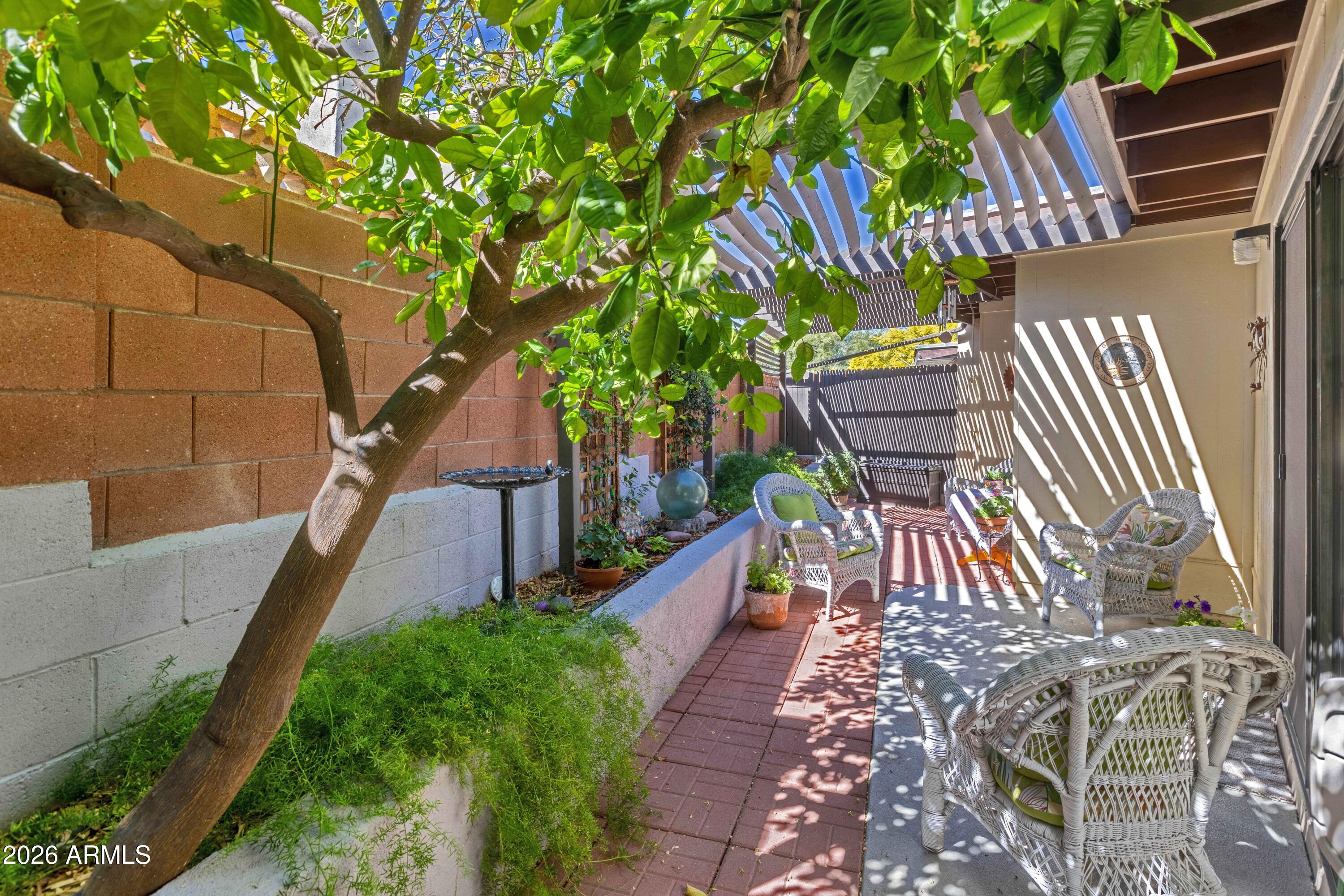 9111 North Oracle Road, Unit 110 Tucson, AZ 85704 - Photo 19 of 27 a view of an outdoor space with seating area