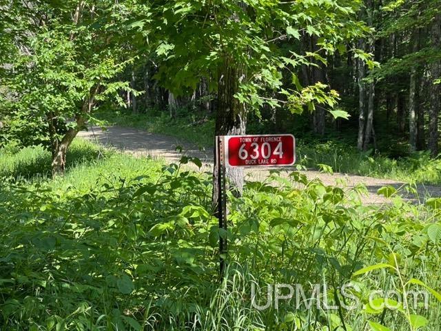 6304 Duck Lake Road Florence, WI 54121 - Photo 1 of 12