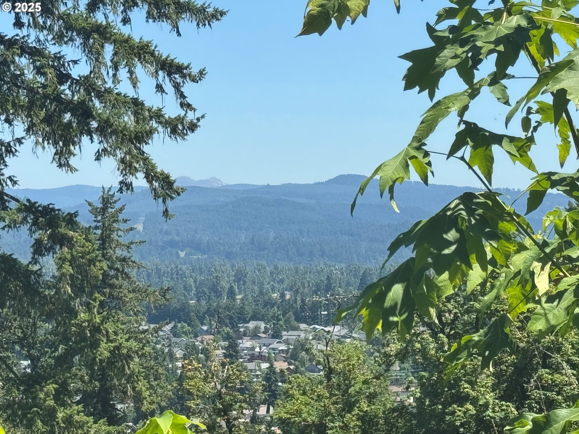 South 67th Springfield, OR 97478 - Photo 10 of 13 a view of a plant