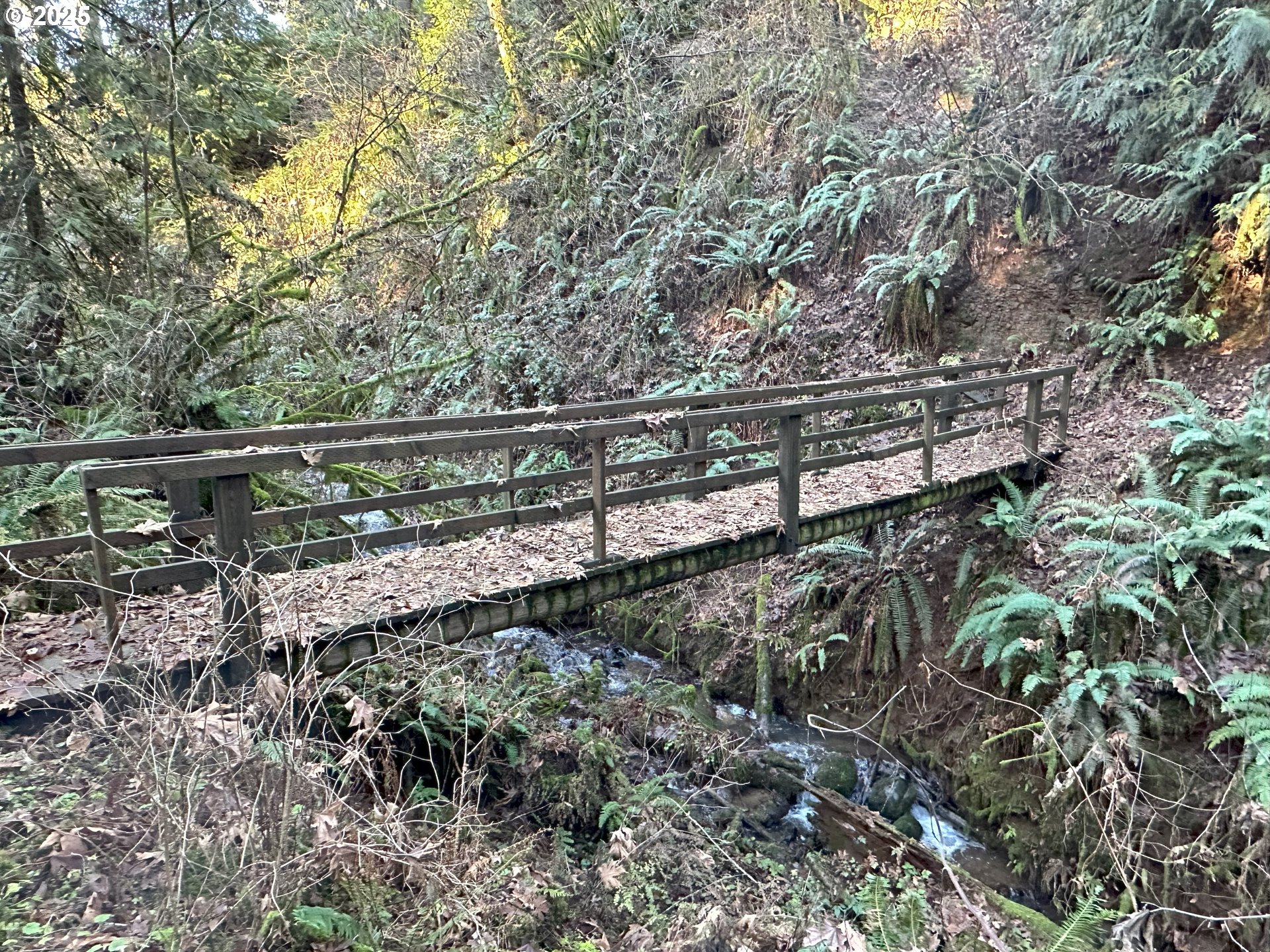21271 Southwest Kruger Road Sherwood, OR 97140 - Photo 11 of 16 a view of a yard with wooden fence