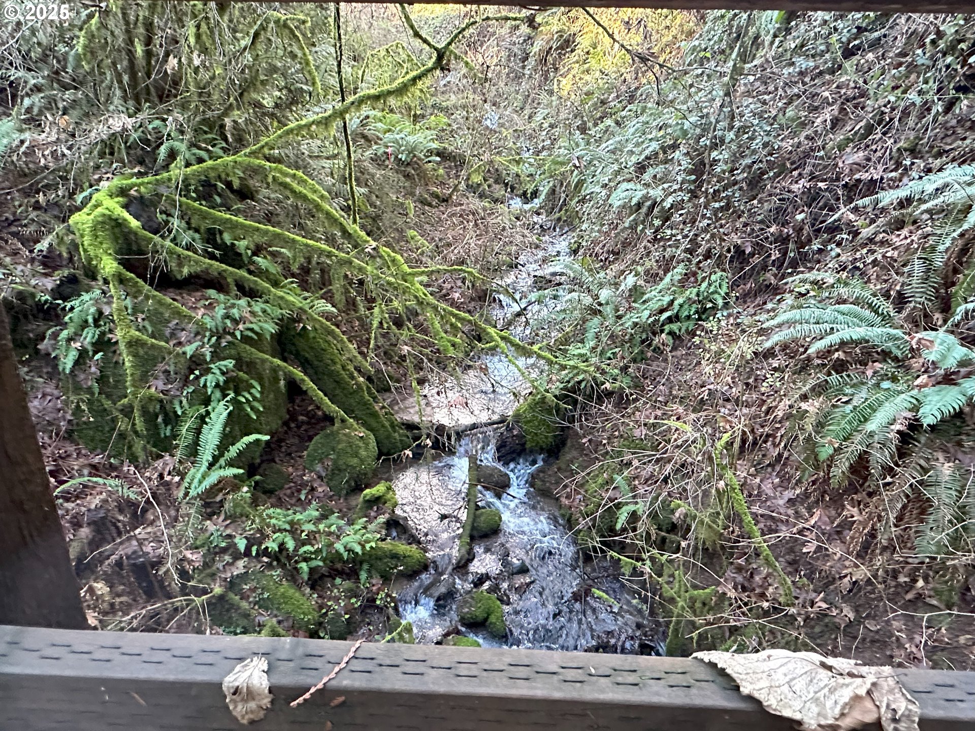 21271 Southwest Kruger Road Sherwood, OR 97140 - Photo 12 of 16