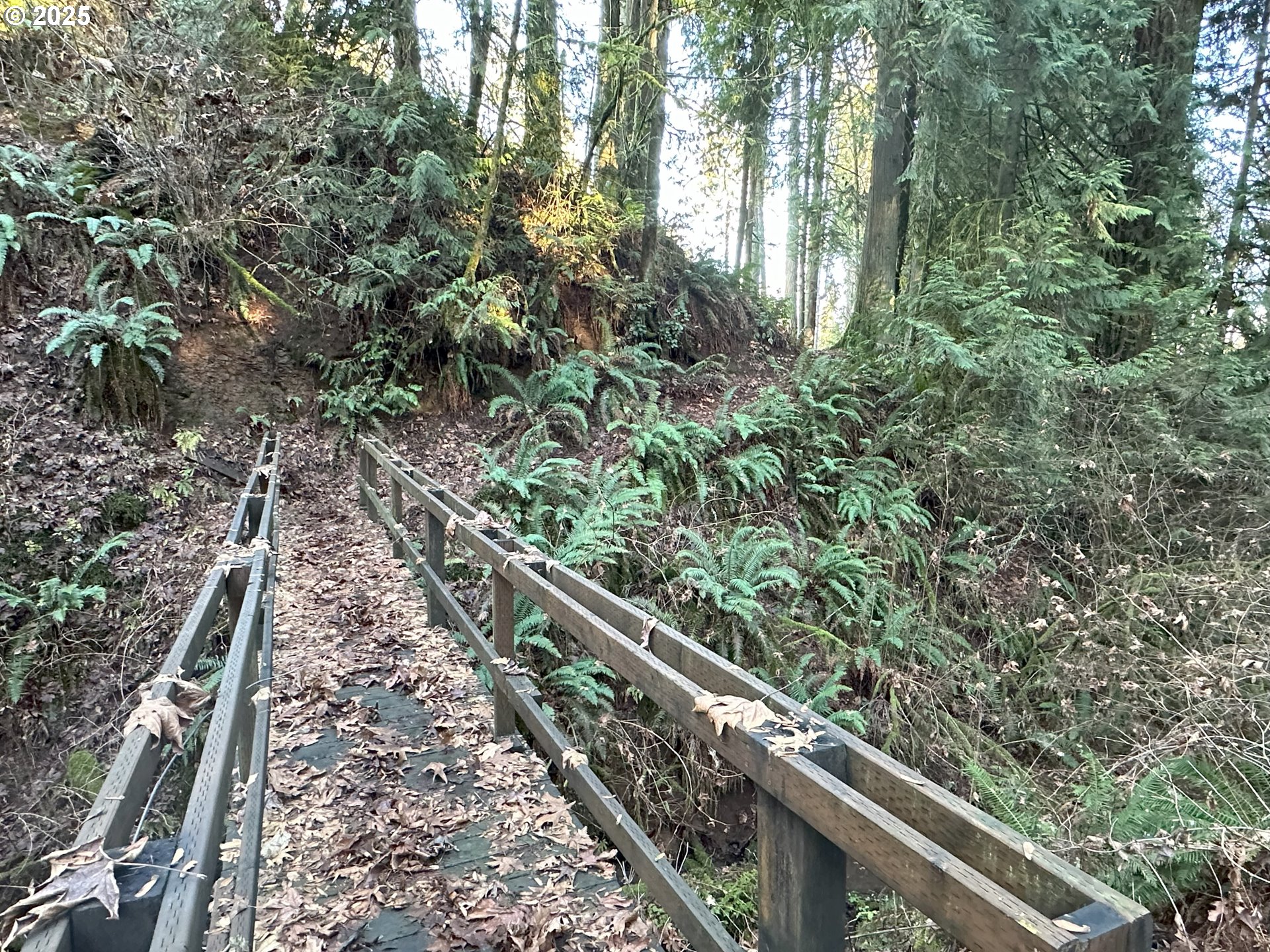 21271 Southwest Kruger Road Sherwood, OR 97140 - Photo 14 of 16 a view of a yard with trees