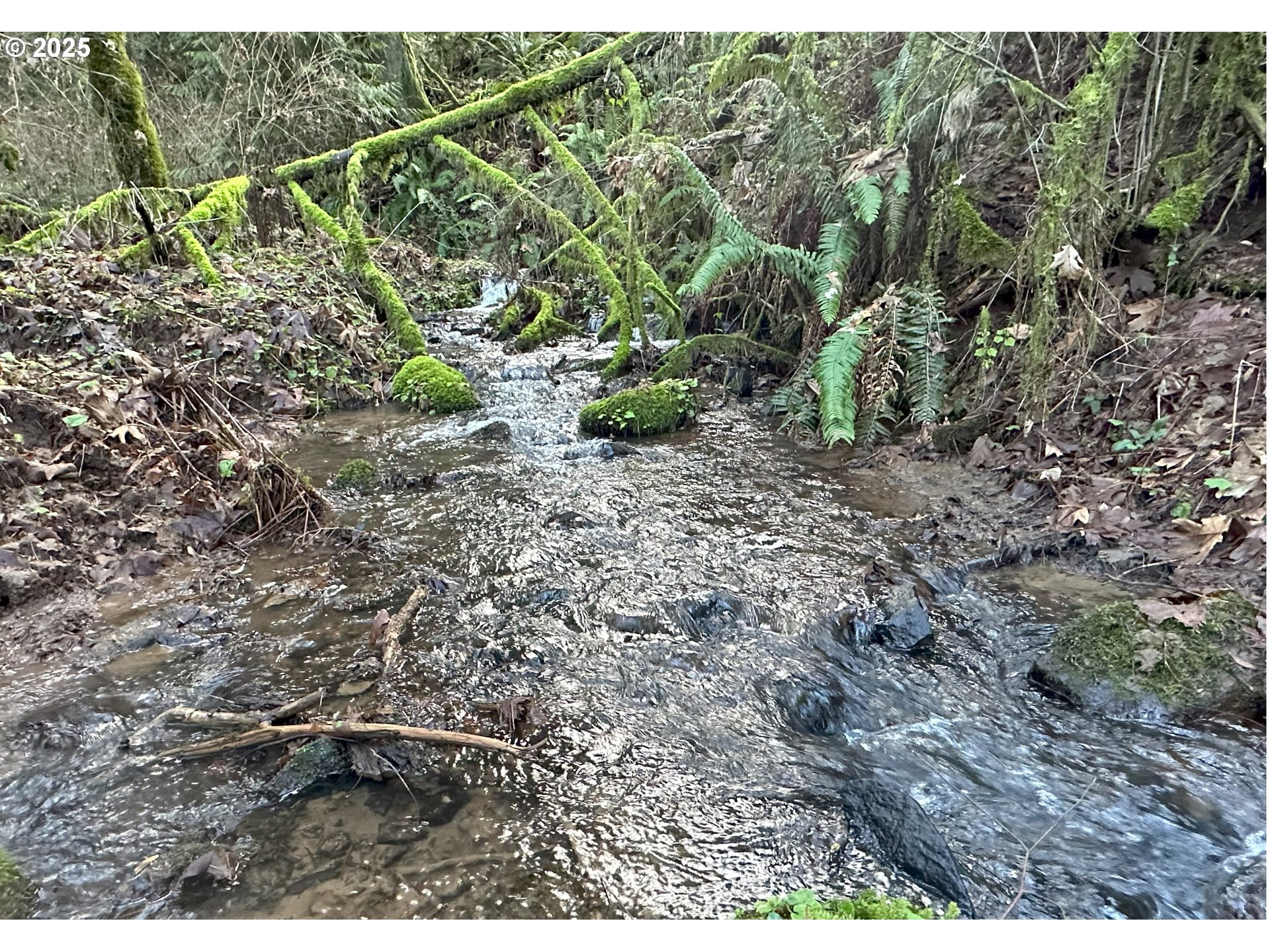 21271 Southwest Kruger Road Sherwood, OR 97140 - Photo 16 of 16 a view of a yard with wooden fence
