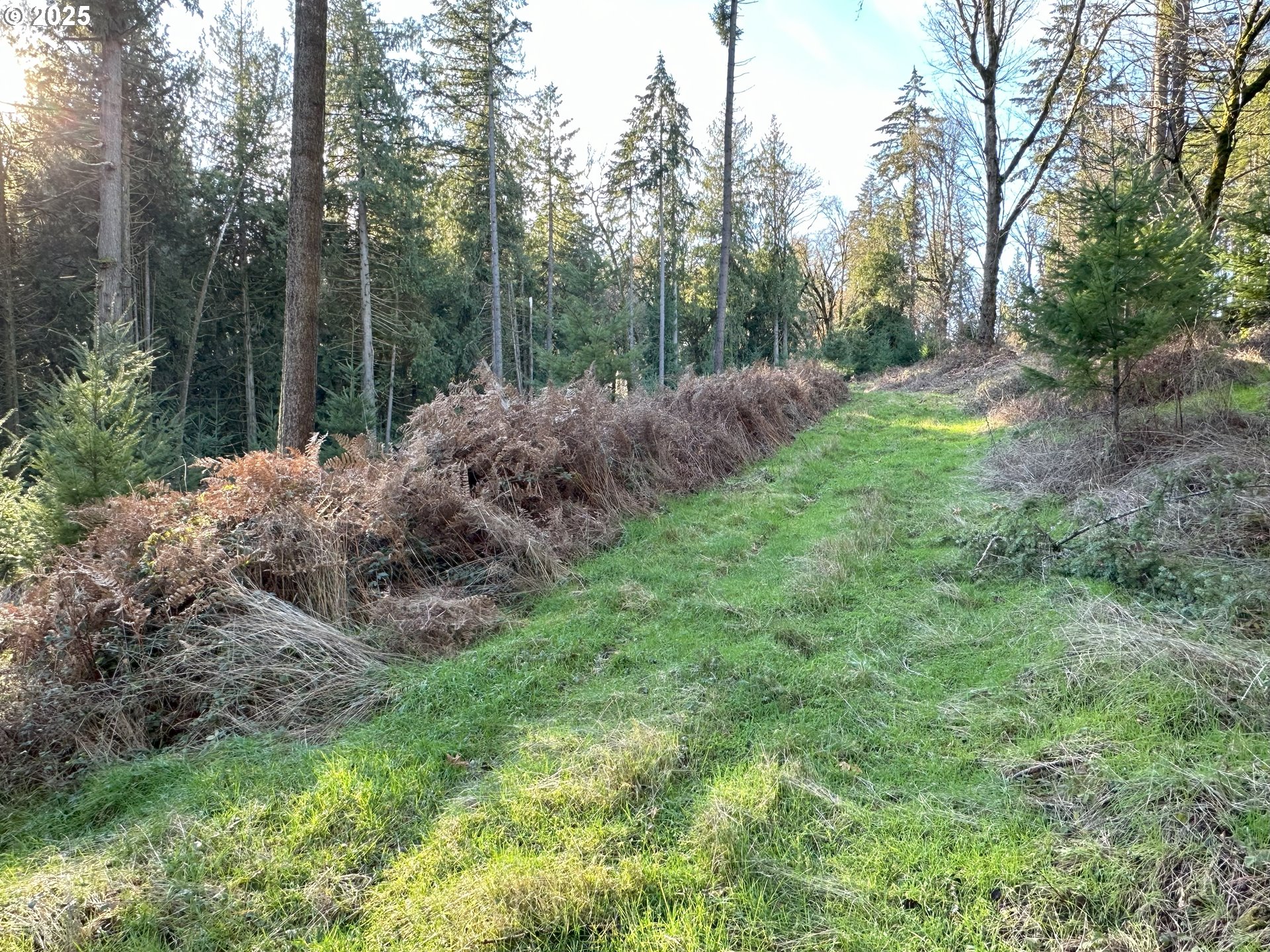 21271 Southwest Kruger Road Sherwood, OR 97140 - Photo 2 of 16 a view of backyard with green space
