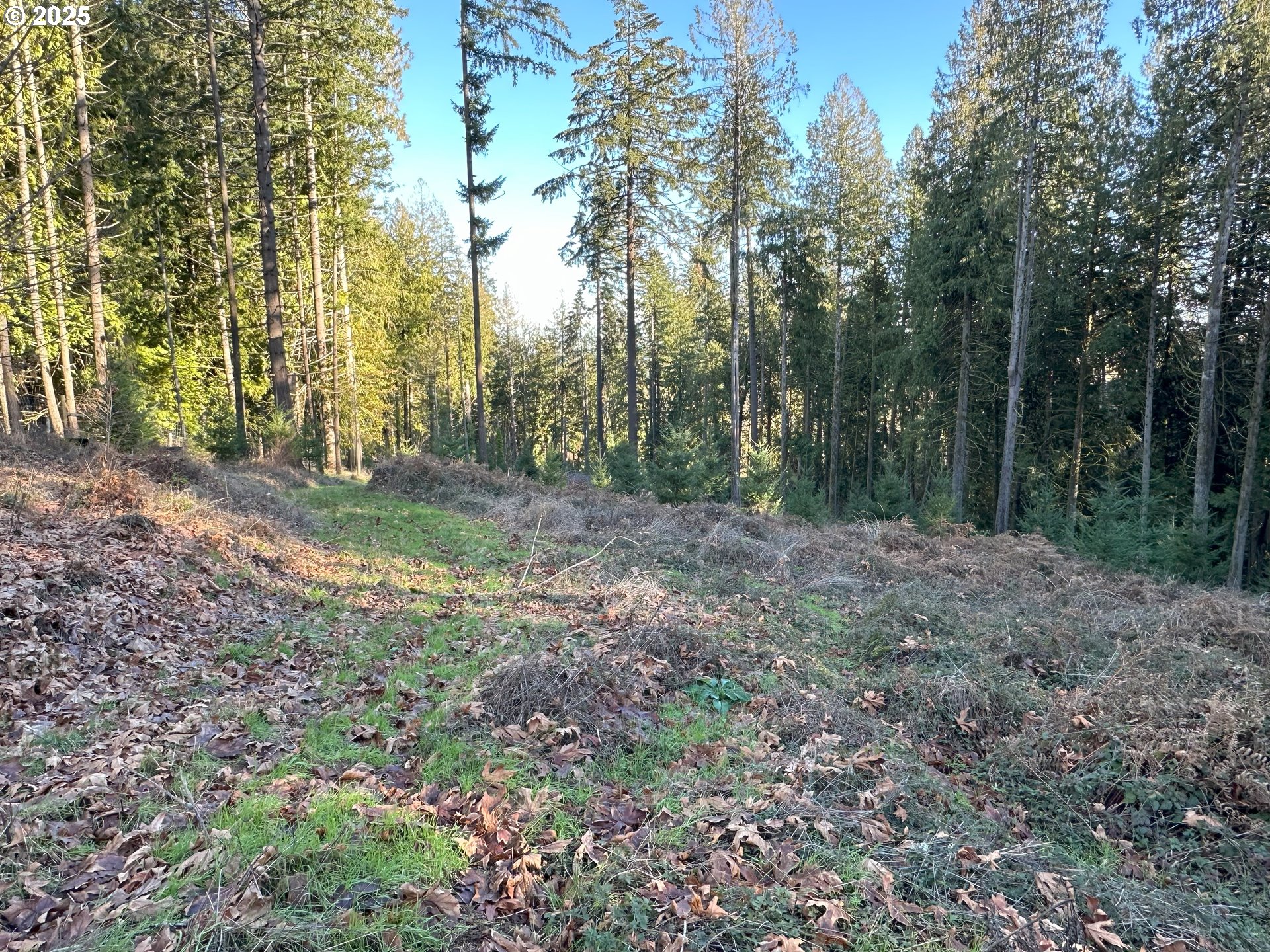 21271 Southwest Kruger Road Sherwood, OR 97140 - Photo 4 of 16 a view of outdoor space and green space