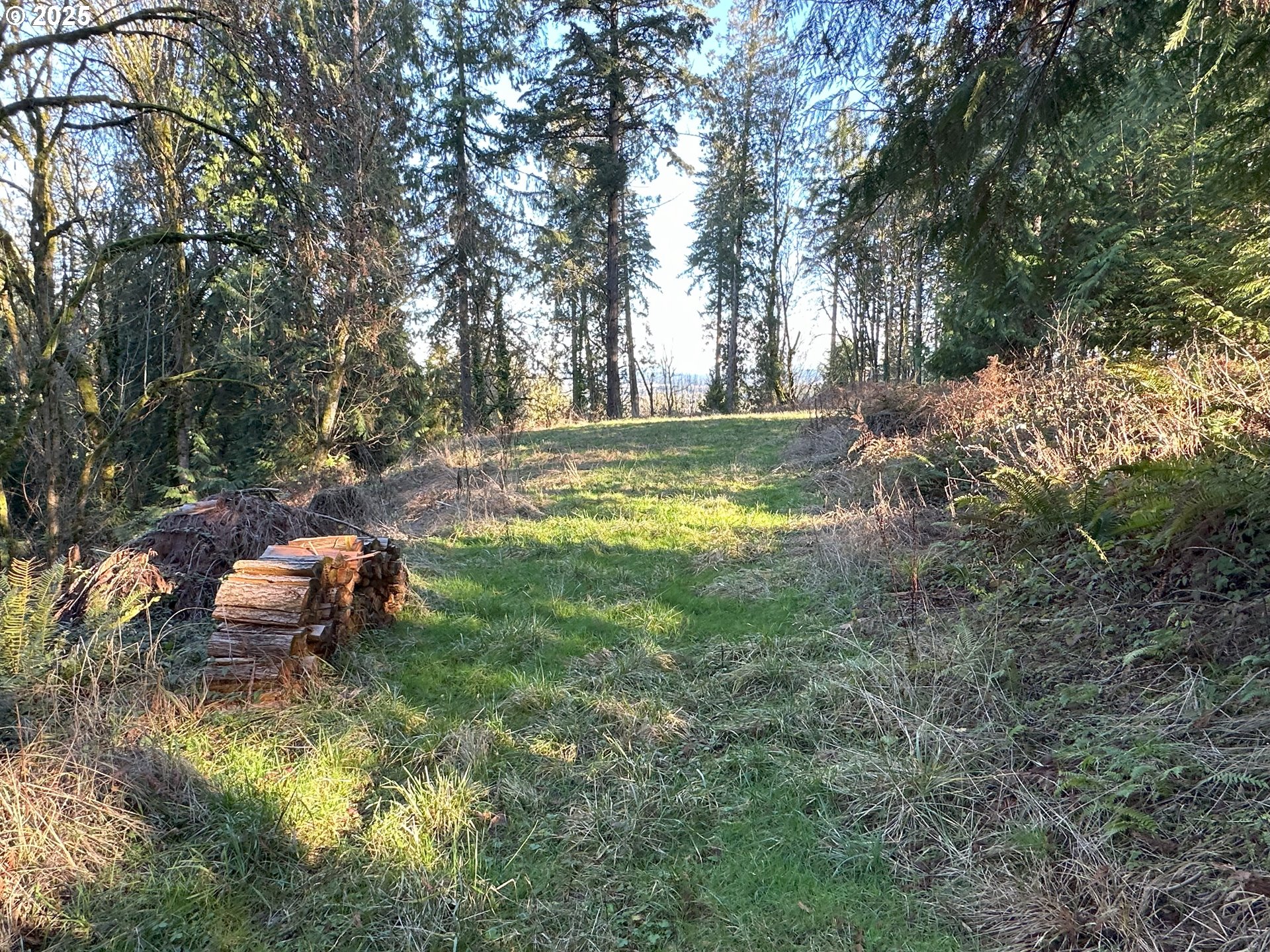 21271 Southwest Kruger Road Sherwood, OR 97140 - Photo 6 of 16 a view of a backyard with large trees