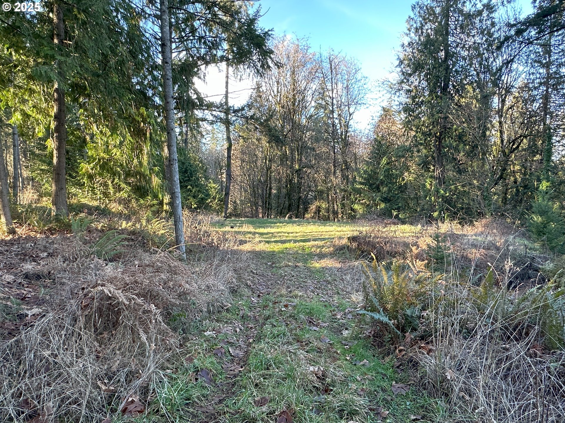21271 Southwest Kruger Road Sherwood, OR 97140 - Photo 7 of 16 a view of outdoor space with trees all around