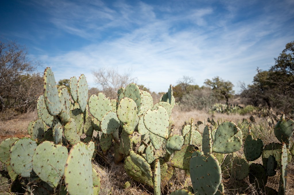 2 Salt Branch Loop, Unit 2 Doss, TX 78618 - Photo 6 of 6