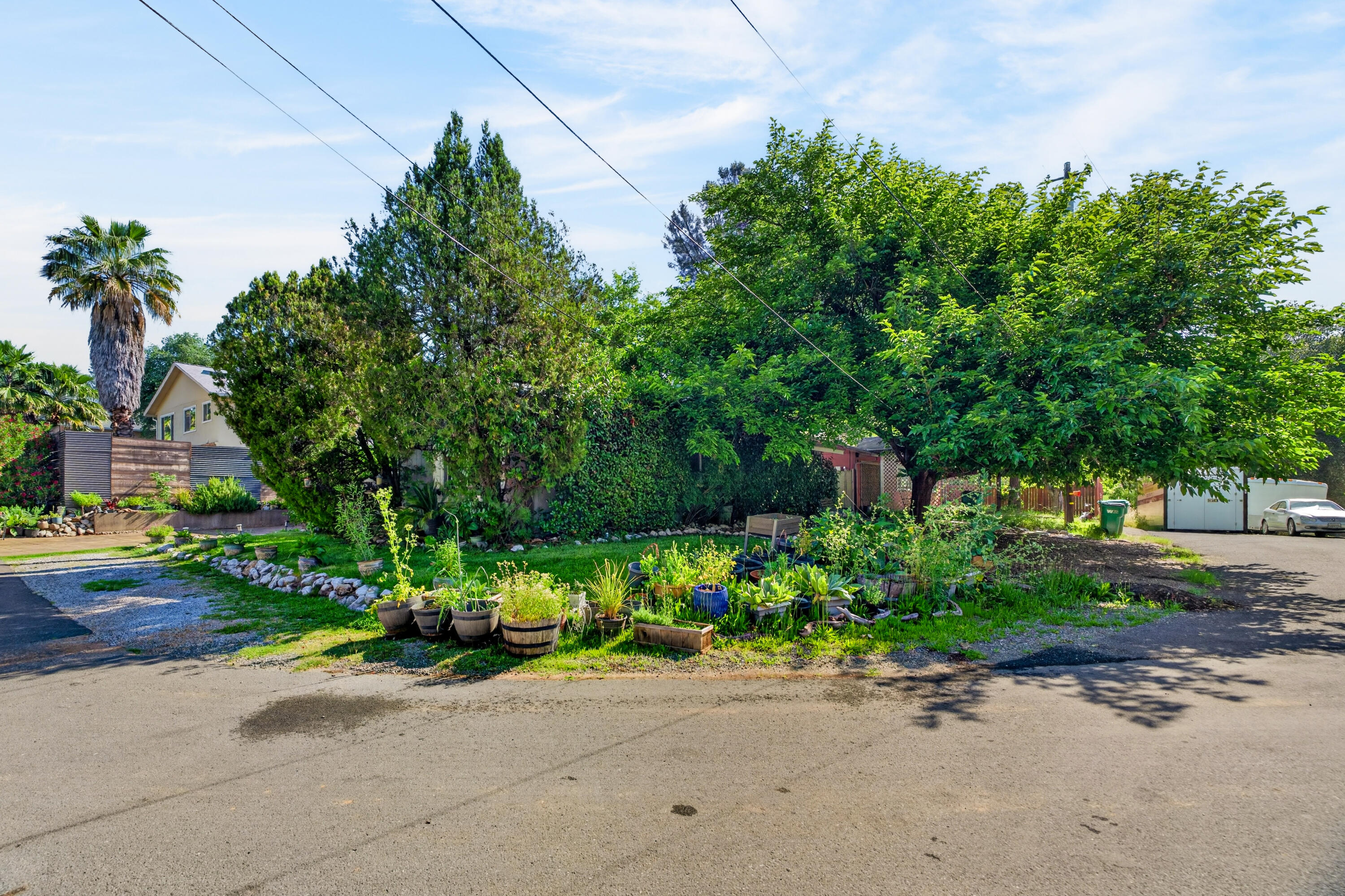 1391 Rouge Road Shasta Lake, CA 96019 - Photo 5 of 30 a backyard of a house with a garden and plants