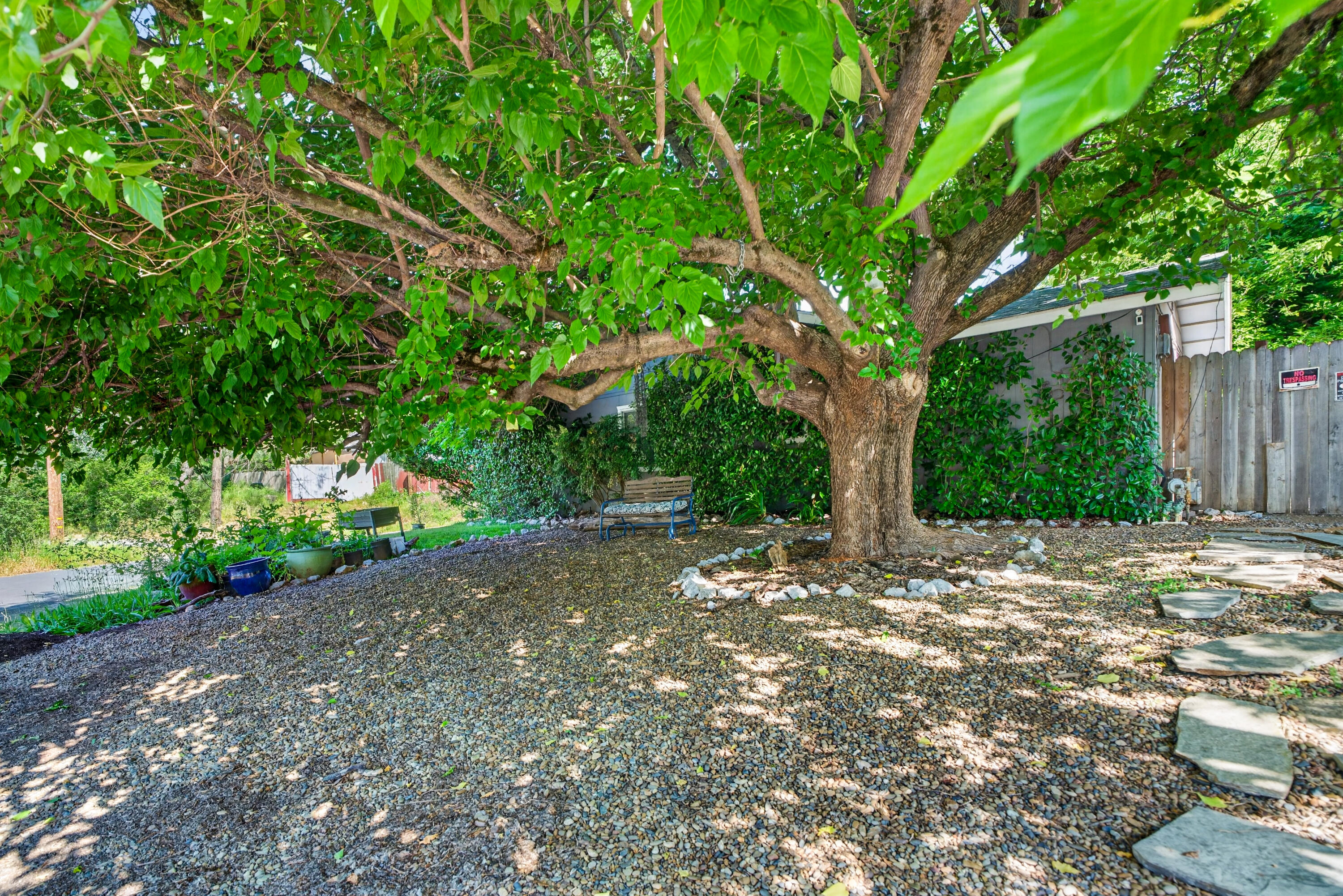 1391 Rouge Road Shasta Lake, CA 96019 - Photo 6 of 30 a view of a tree in the middle of a yard