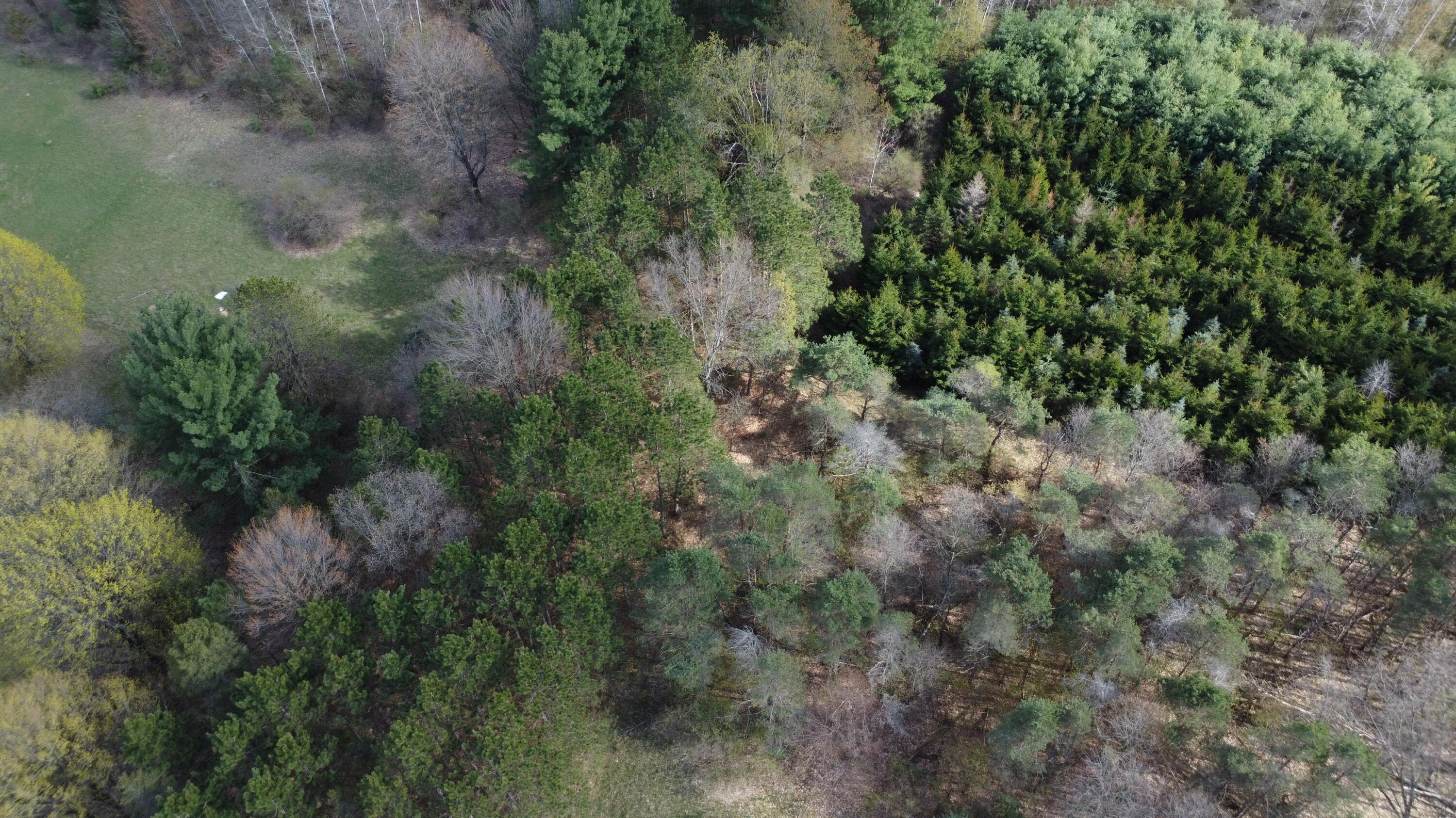 6455 East Rossell Lake Road Walkerville, MI 49459 - Photo 12 of 15 DJI_0073